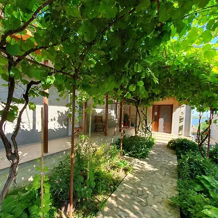 House * ジュリロヴカ