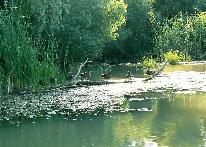 펜션 House 주릴로브카