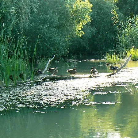 Σπίτι διακοπών House Jurilovca