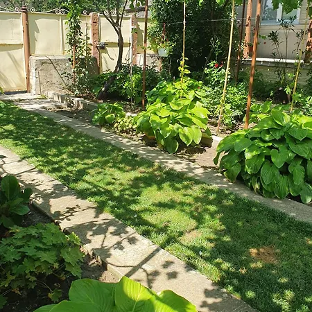 度假居 House 茹里洛夫卡