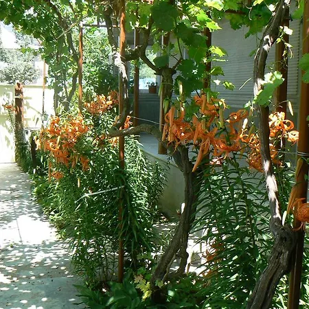 House Σπίτι διακοπών Jurilovca